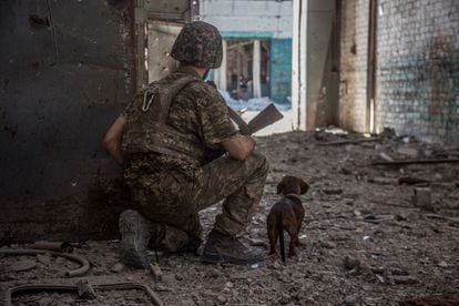 Un soldado ucranio junto a un perro observa el área industrial de Severodonetsk, en la provincia de Luganks, en el este del país, durante los ataques rusos, en una imagen tomada el lunes. 