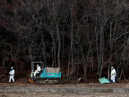 Un grupo de operarios trabaja en las labores de descontaminación en un bosque en los alrededores de la central de Fukushima (Japón) en febrero de 2015.