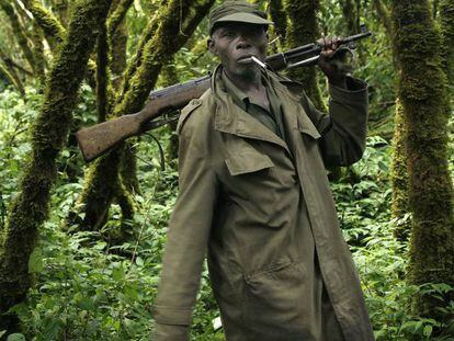 Imagen de archivo de un guardabosques en el parque de Virunga.