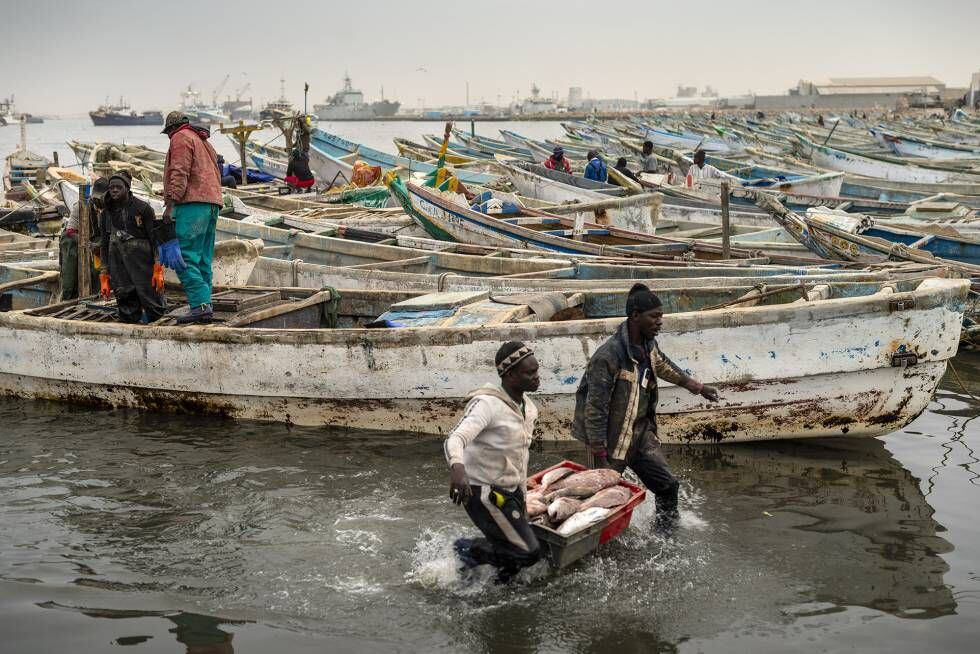Trabajadores en el puerto pesquero de Nuadibú, la gran ciudad del norte de Mauritania y principio de esta ruta.