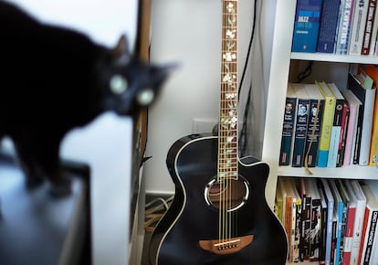 El gato Truco y una guitarra.