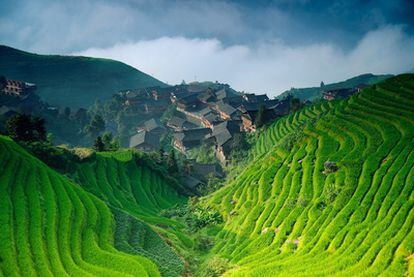 Los bancales de arroz cubren completamente las colinas cerca de la aldea de Ping'an, en la región de Guangxi, al suroeste de China