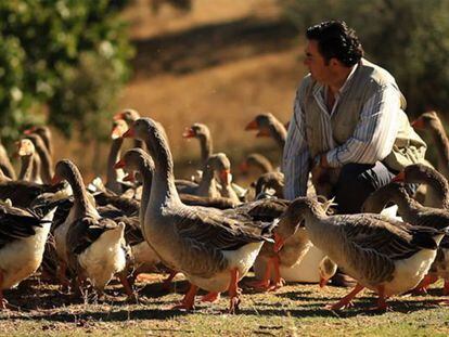 En 2000, Eduardo de Sousa empieza a producir foie-gras en la finca familiar de Pallares.