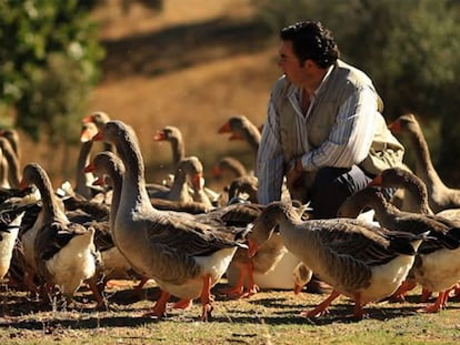 En 2000, Eduardo de Sousa empieza a producir foie-gras en la finca familiar de Pallares.