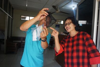 Inspección de muestras de mosquitos obtenidas de la comunidad de Yogyakarta.                   