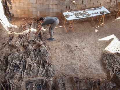 Restos óseos pertenecientes a la columna minera de Nerva encontrados en la fosa común 'Pico Reja', en el cementerio de San Fernando (Sevilla).