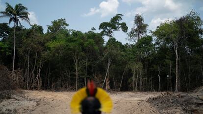 El jefe indígena krimej, Kadjyre Kayapo, observa un camino creado por madereros en la Reserva Biológica Serra do Cachimbo, en Altamira, Estado de Pará (Brasil), el 2 de agosto de 2019.