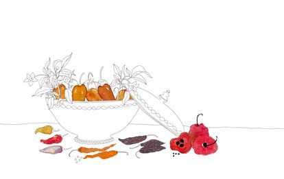 Guía de picantes: cómo usar los ajíes, chiles y guindillas más populares  del mundo | El Comidista | Gastronomía | EL PAÍS