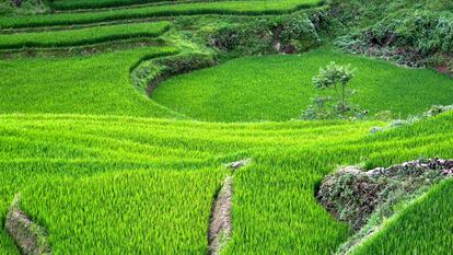 Sapa (Vietnam).