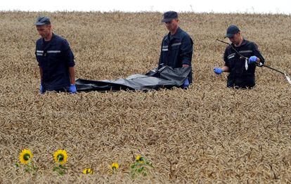 Personal de emergencias trasladan el cadáver de uno de los pasajeros del avión malasio derribado tras encontrarlo en un campo en la zona de Grabove, en el este de Ucrania, el 19 de julio de 2014.
