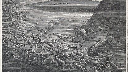El 'Nautilus', ilustración de 1870.