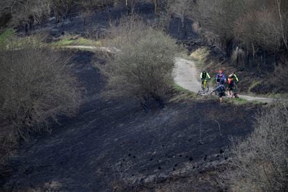 Vista de las zonas quemadas del Monte Naranco de Oviedo, este sábado.