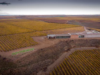 Una bodega en busca de la esencia del verdejo