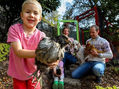 La familia Griffith con sus gallinas en su jardín el 21 de noviembre de 2021, en Piedmont, California.