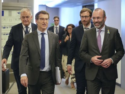 El presidente del PP, Alberto Núñez Feijóo, y el presidente del Partido Popular Europeo (PPE) y líder del Grupo Democristiano en el Parlamento Europeo, Manfred Weber, durante su encuentro este jueves en el Parlamento Europeo en Bruselas.