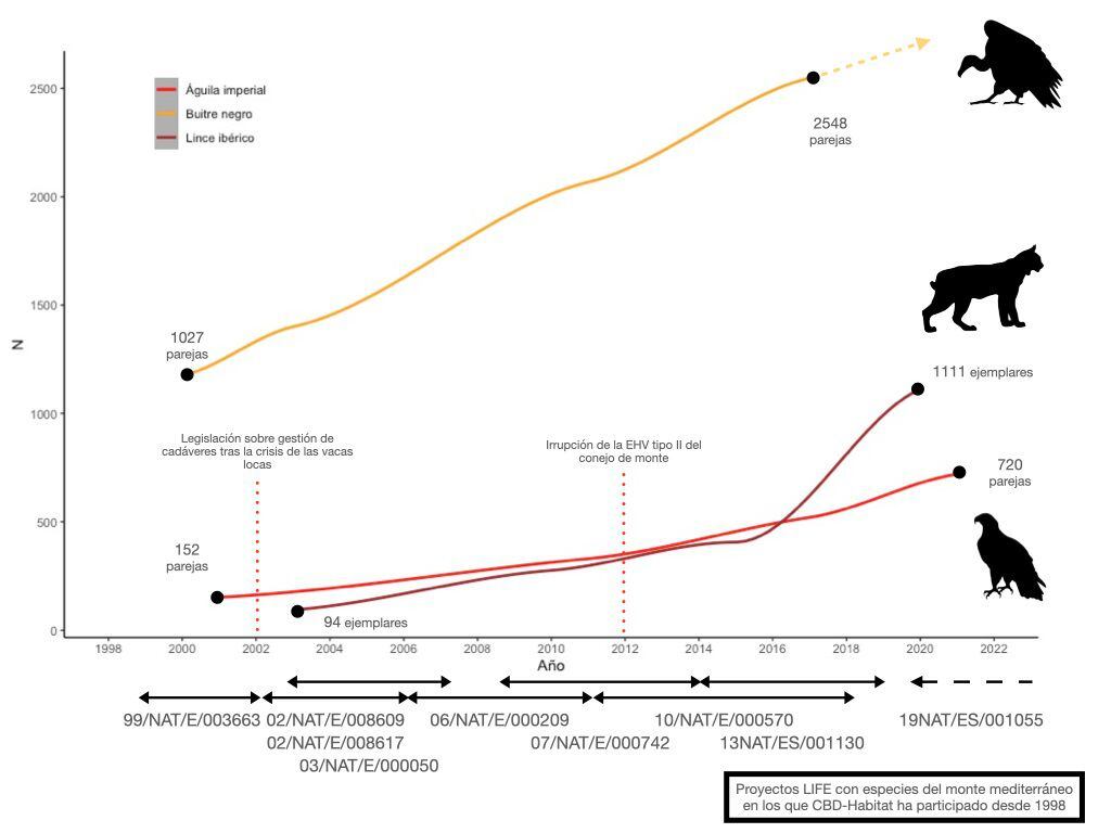Gráfico con el crecimiento de las poblaciones de buitre negro, lince ibérico y águila imperial ibérica.