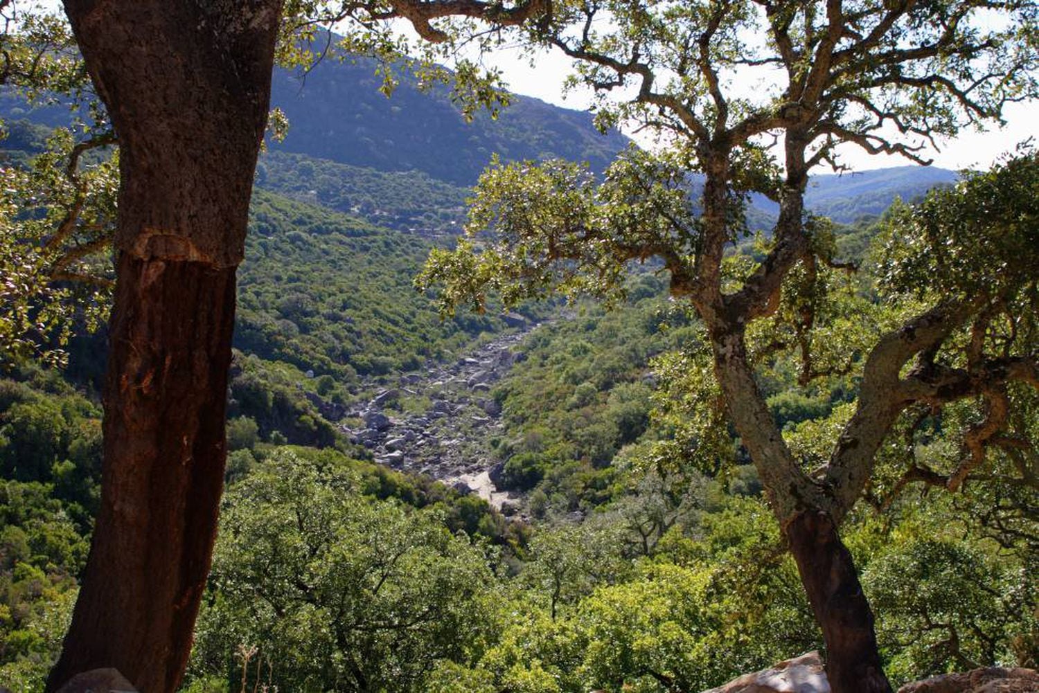 Parque Natural de los Alcornocales.