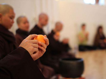 Para meditar solo se necesita una mandarina