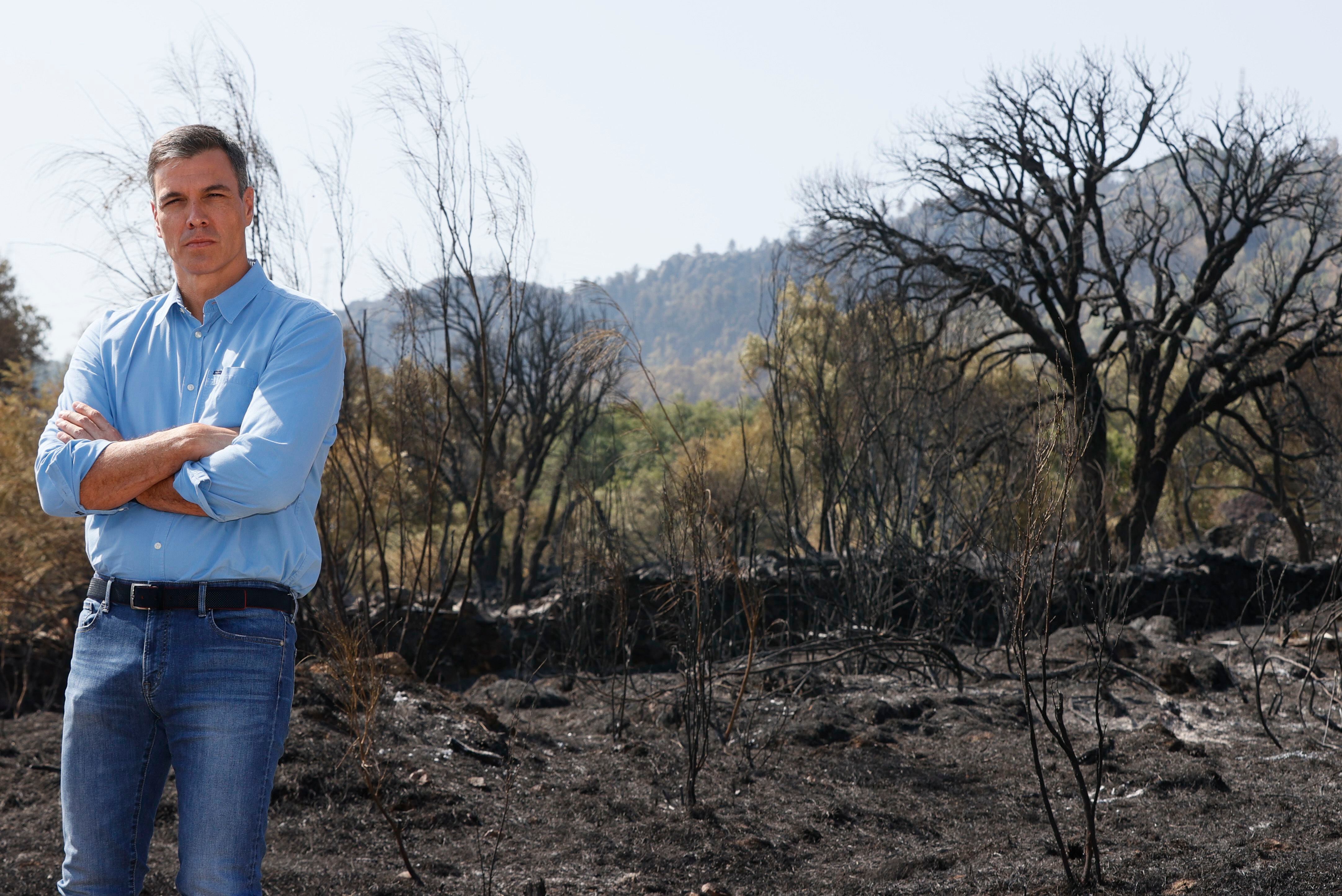 Pedro Sánchez, el 18 de julio en Casas de Miravete (Cáceres), en la zona calcinada por el incendio en el parque nacional de Monfragüe.
