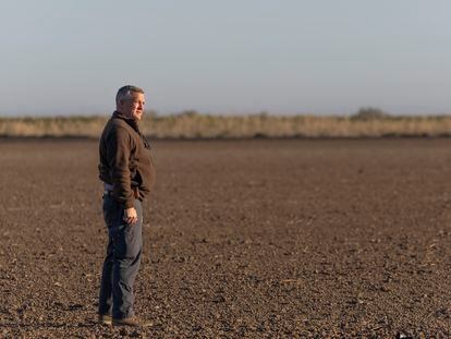 El agricultor algodonero Felipe López, que participa en la demanda colectiva contra el cártel de la industria desmotadora, este jueves en una de sus parcelas de Las Cabezas de San Juan (Sevilla).