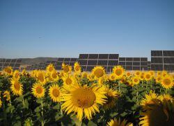 Parque solar ubicado en Llerena, Badajoz. Tiene una potencia instalada de 4 megavatios y produce 8,7 gigavatios por hora al año.