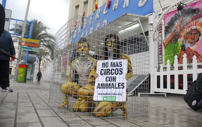 Activistas de AnimaNaturalis contra el maltrato de los animales en un circo de Alicante.