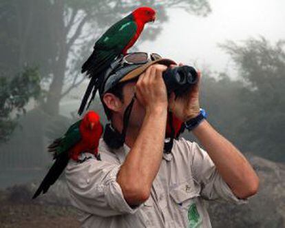 'Birdwatcher' despistado con dos ejemplares de rey loro encima.