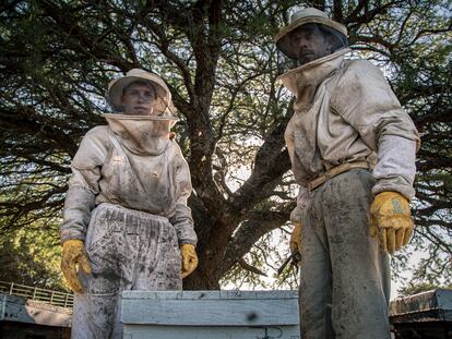 Federico Rost es apicultor artesanal y mentor de Pablo, un joven aprendiz con quien produce miel silvestre en la zona rural del norte patagónico argentino. El entorno es cada día más hostil para los pequeños productores: "tenemos una lucha en enorme disparidad contra las corporaciones —dice con preocupación Rost—. Pero, ¿qué podemos hacer?".