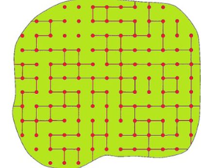 Modelización de un bosque; los árboles están representados por los puntos de la cuadrícula y los bordes abiertos, por líneas que conectan los puntos. Se pueden observar cómo se forman caminos de bordes rojos, por donde podría pasar el fuego.