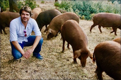 Pepe Simón, con los cerdos rubio dorado.