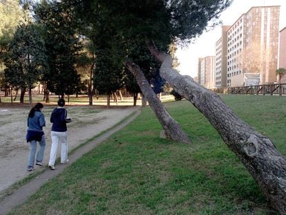 Parque de Dehesa Boyal, donde se ha encontrado el cuerpo.