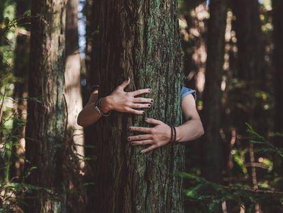 Asumir principios y justicia climática implica responsabilidad.