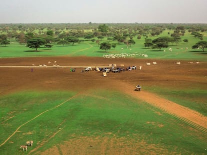Imagen de un abrevadero en un terreno reverdecido en época de lluvias en la localidad de Widou, en el norte de Senegal.