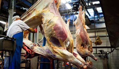Un carnicero desuella una vaca en un matadero danés.