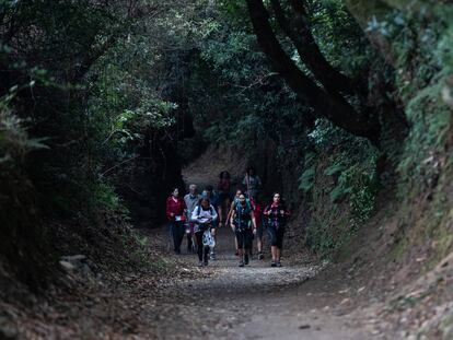 Un grupo de personas haciendo el Camino de Santiago.