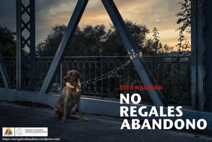 Cartell de la campanya contra l'abandonament d'animals.