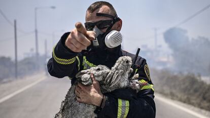 Un bombero sujeta un gato y dos conejos tras rescatarlos.