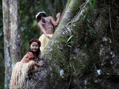 Dos niñas escalan un árbol de Sumauma en Feijó (Brasil). 