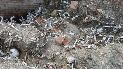 Huesos que han quedado al descubierto en el lugar donde se encuentra el osario, en el cementerio de La Almudena en Madrid.