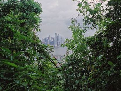 Panamá, vista desde el cerro Ancón.