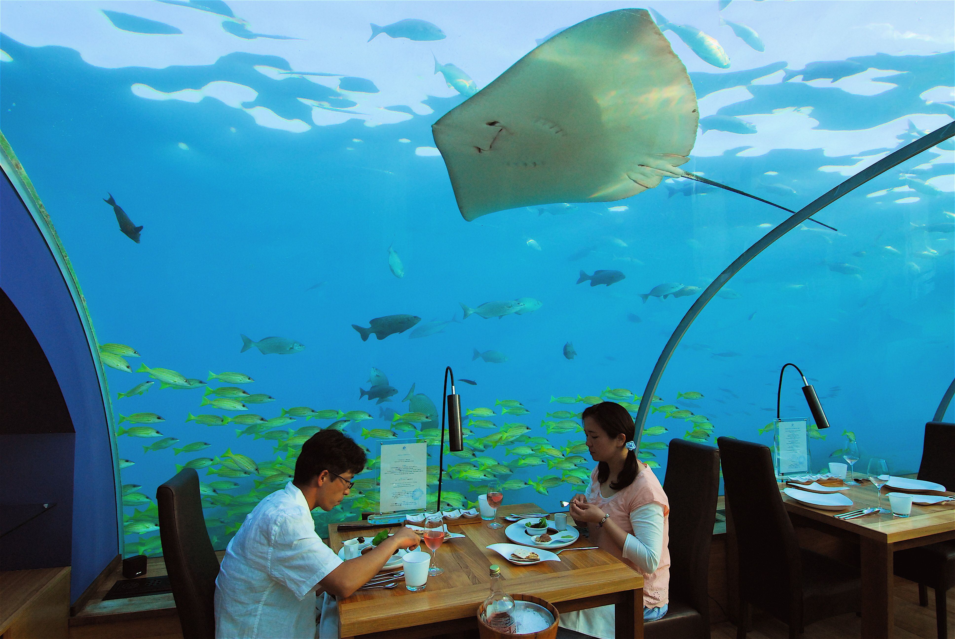 Restaurante submarino Ithaa del hotel Conrad Hilton en la isla de Rangali (Maldivas).