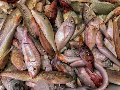 Peixateria al Mercat de l'Olivar a Palma.