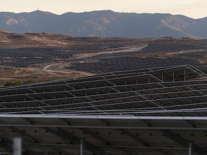 Paneles fotovoltaicos de la macrocentral de Mula, en Murcia.