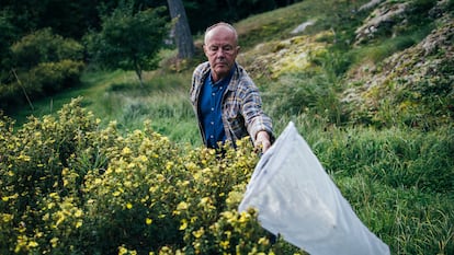 Fredrik Sjöberg, en su casa en la isla de Runmarö, en Estocolmo.