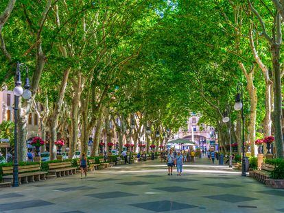 El ambiente del paseo del Born, en el centro histórico de Palma (Mallorca).