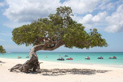 El Caribe también es el protagonista de la playa de Eagle Beach, en Aruba, situada al noroeste de Venezuela y que se coloca en la cuarta posición de los premios que concede TripAdvisor, que realiza un listado de las 25 mejores playas del planeta.