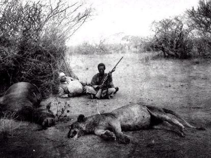 Dimitri Ghika, con su escopetero, retratados por su hijo junto a la peligrosa leona abatida durante su safari.