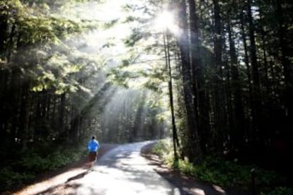 Bosques de Squamish, en Canadá.