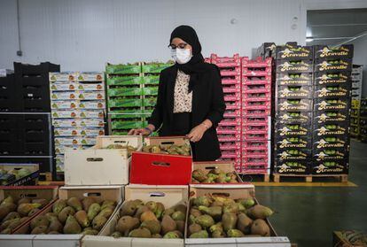 Los empresarios inmigrantes se han quedado con el negocio que no han querido los fruteros de origen español, muchos incapaces de pasarle el relevo a sus hijos, sabedores de que este es un trabajo extenuante. En la imagen, Lamia Azzit, directora financiera, en los almacenes de Frutas Azahara.