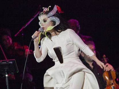 La cantante Bj&ouml;rk en un concierto.